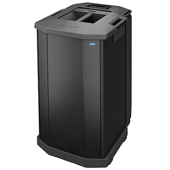 Amazon.com: Bose F1 Subwoofer : Musical Instruments